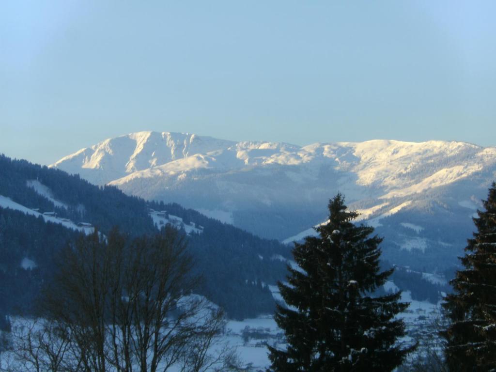 Villa Bauernhof Hundbichl à Brixen im Thale Extérieur photo