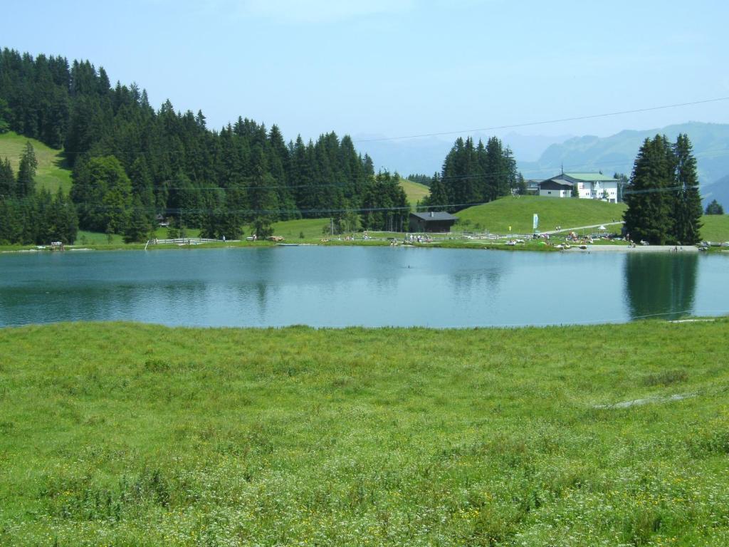 Villa Bauernhof Hundbichl à Brixen im Thale Extérieur photo